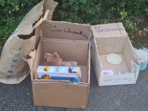 Photo 114 from Zuverschenken